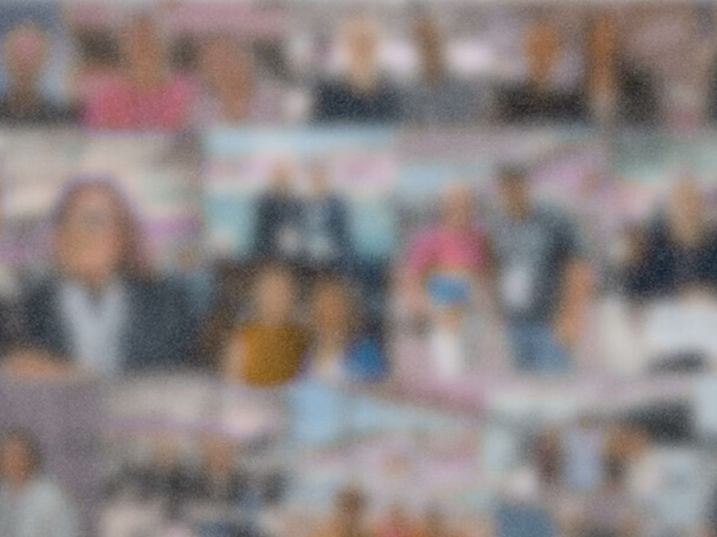 Taking the hoiho cause to the world 