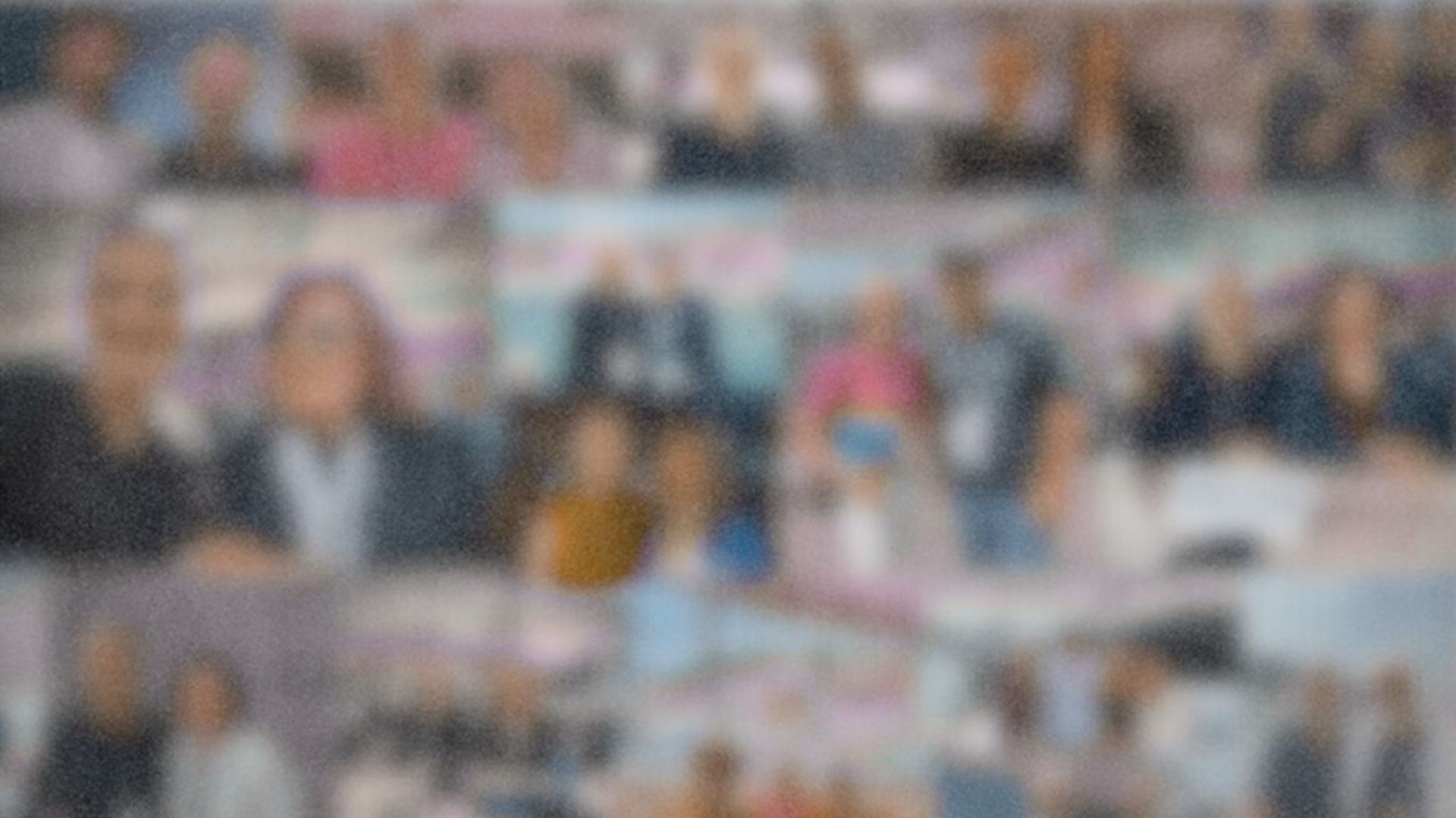 Taking the hoiho cause to the world 