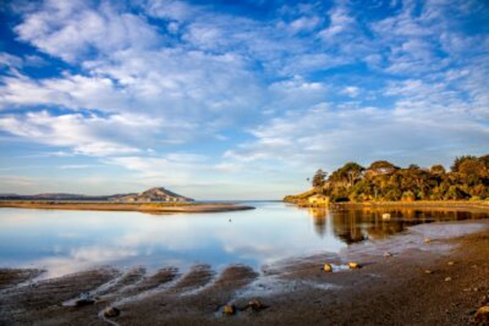 The State of our Coast