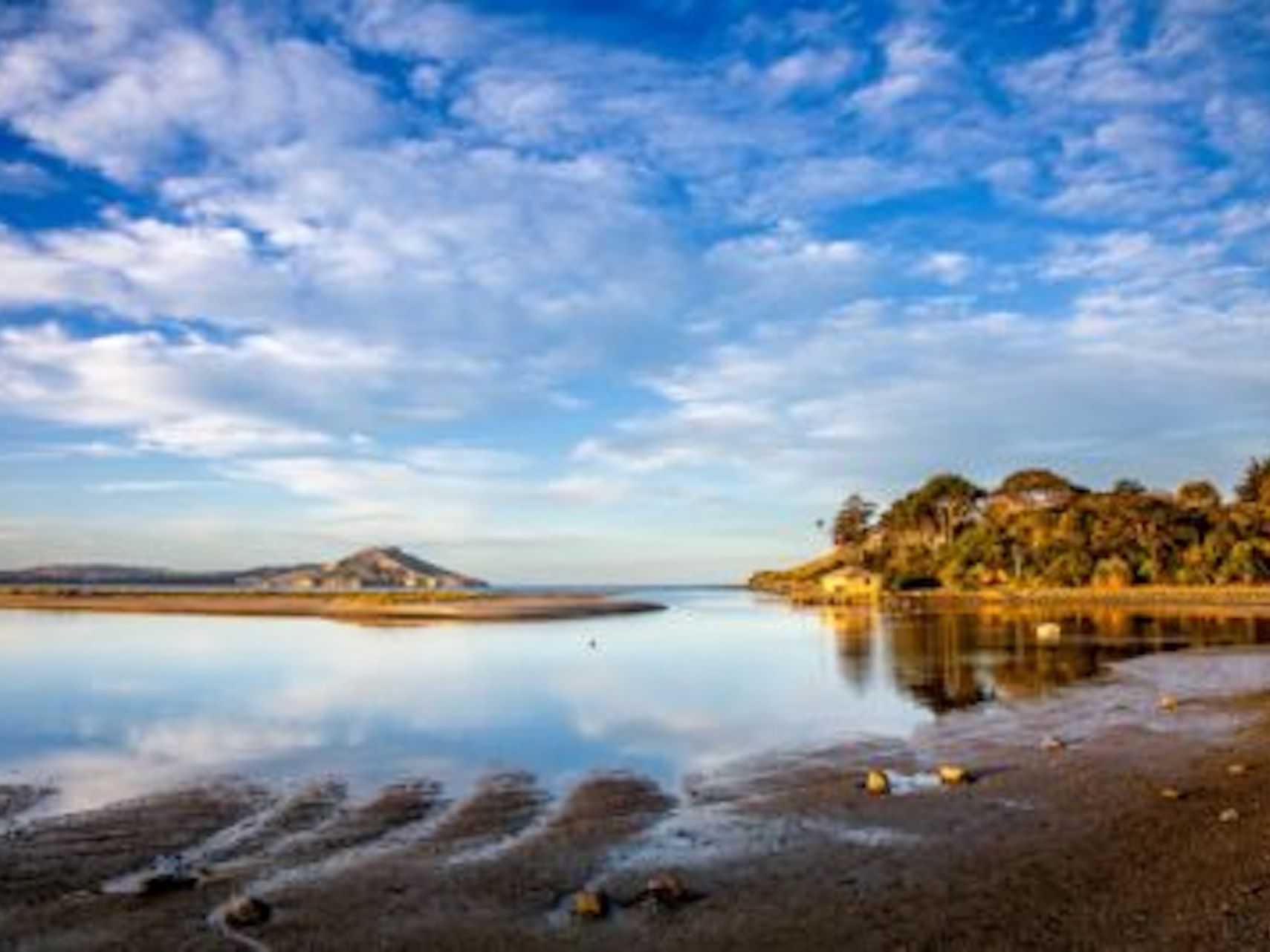 The State of our Coast