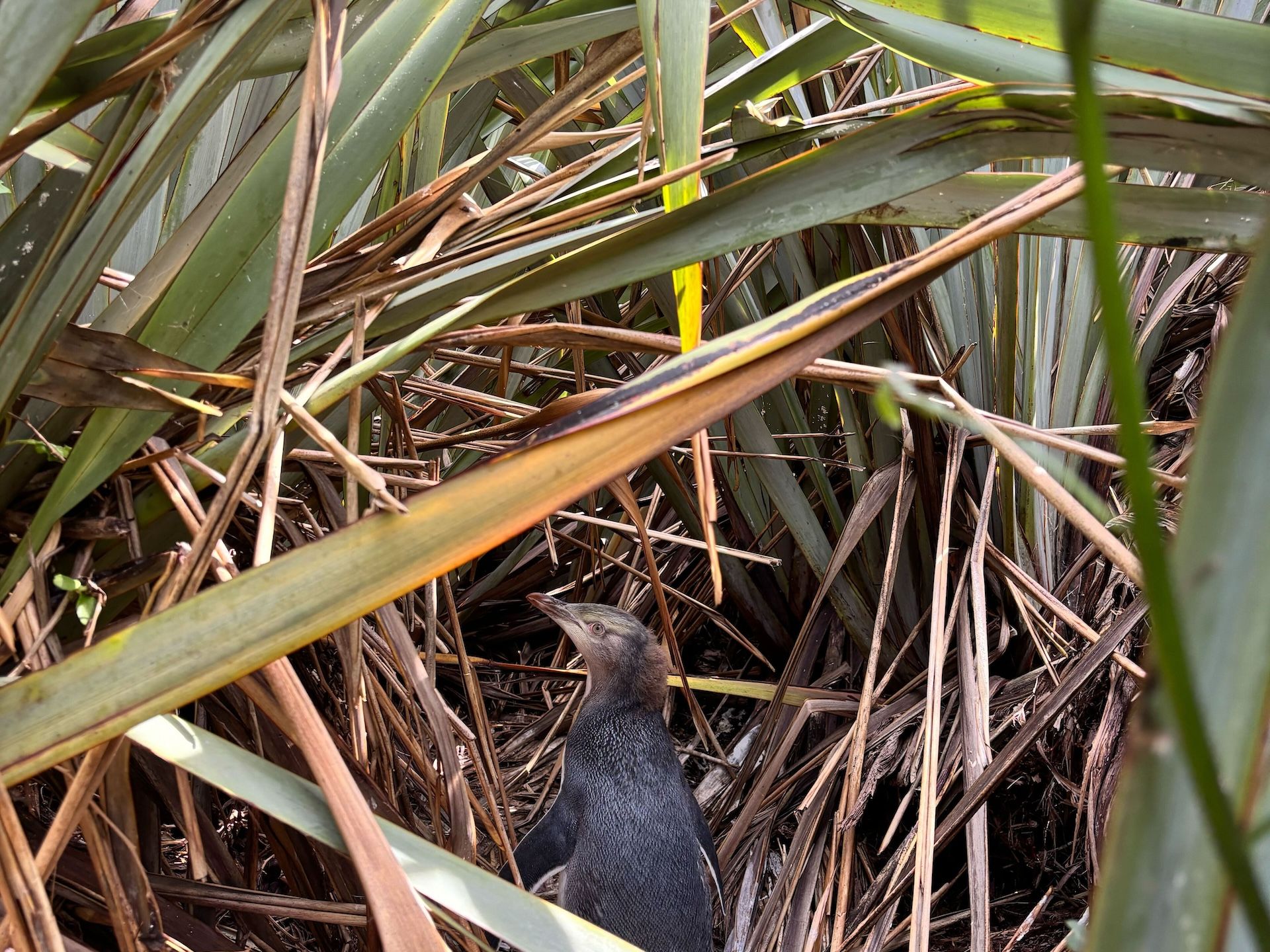 Updates from the field