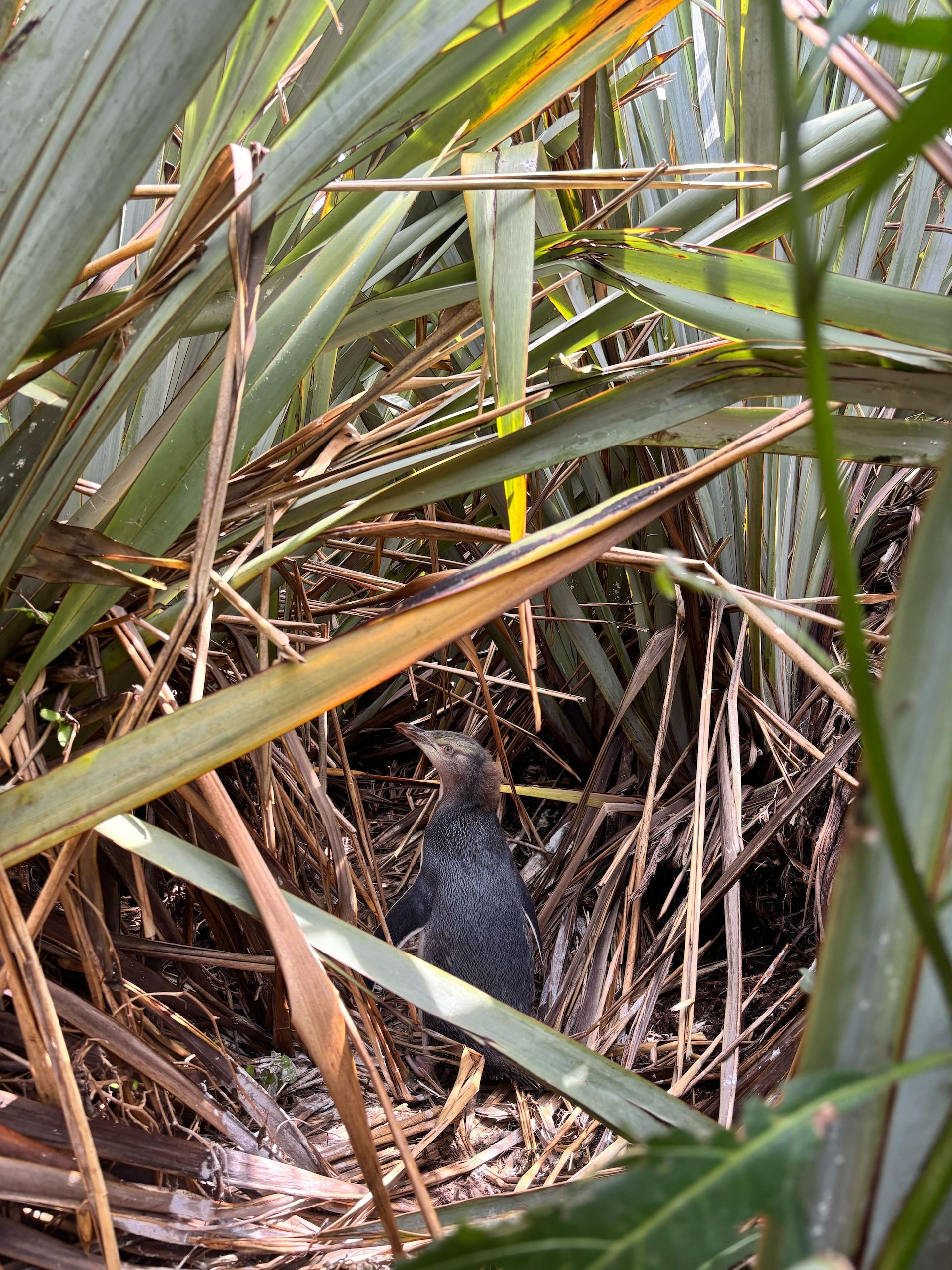 Updates from the field