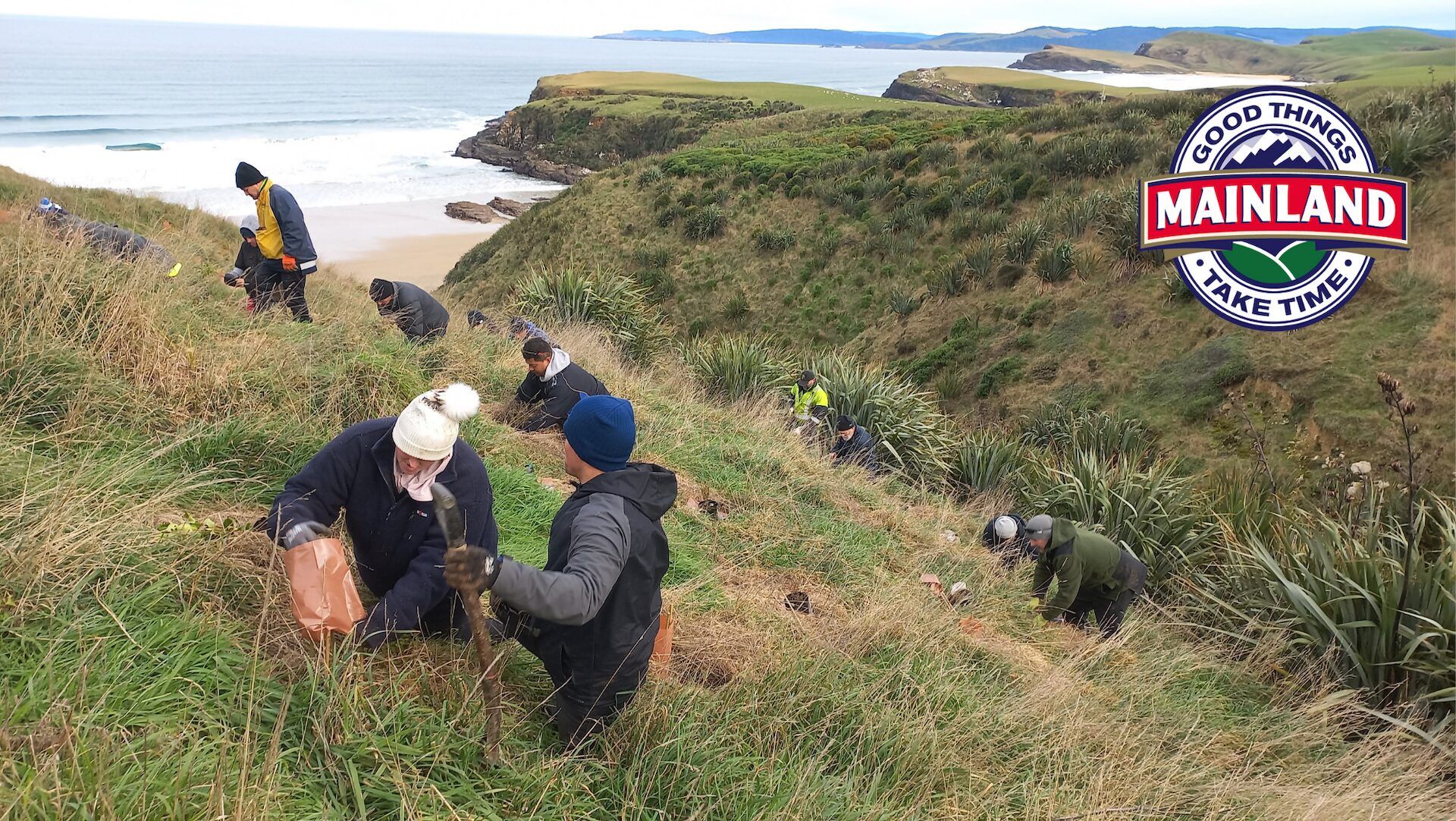 Mainland planting day