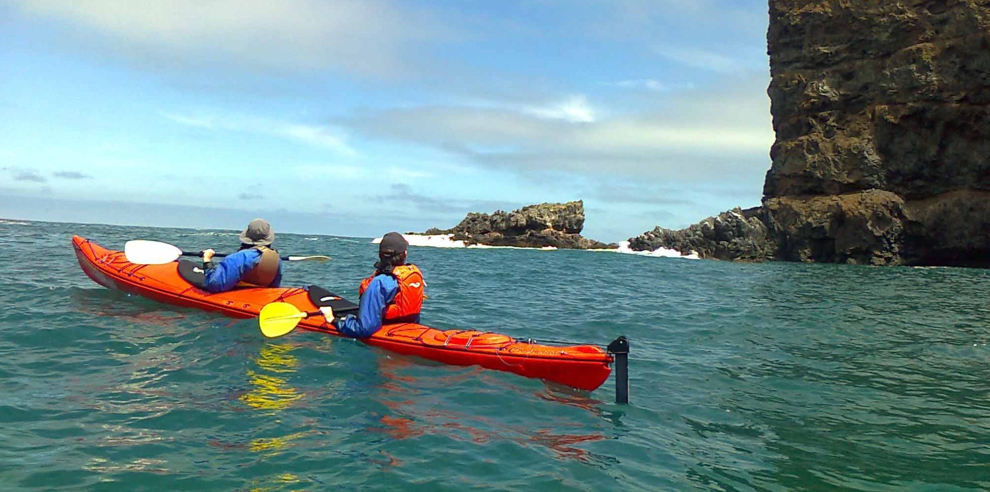 Join Pohatu Penguins Sea-Kayaking Safari & Support YEPT - Yellow-eyed ...