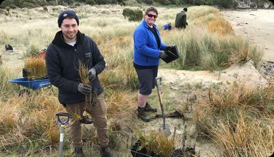 Planting helps to protect the sand dunes from erosion
